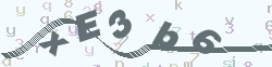 verify_code